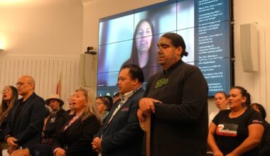 Banning voting rights an attempt to ‘silence the Māori voices in the room’ - iwi leader