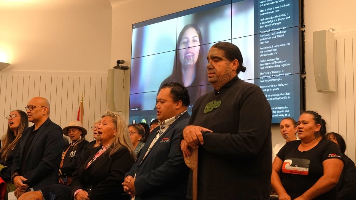 Banning voting rights an attempt to ‘silence the Māori voices in the room’ - iwi leader