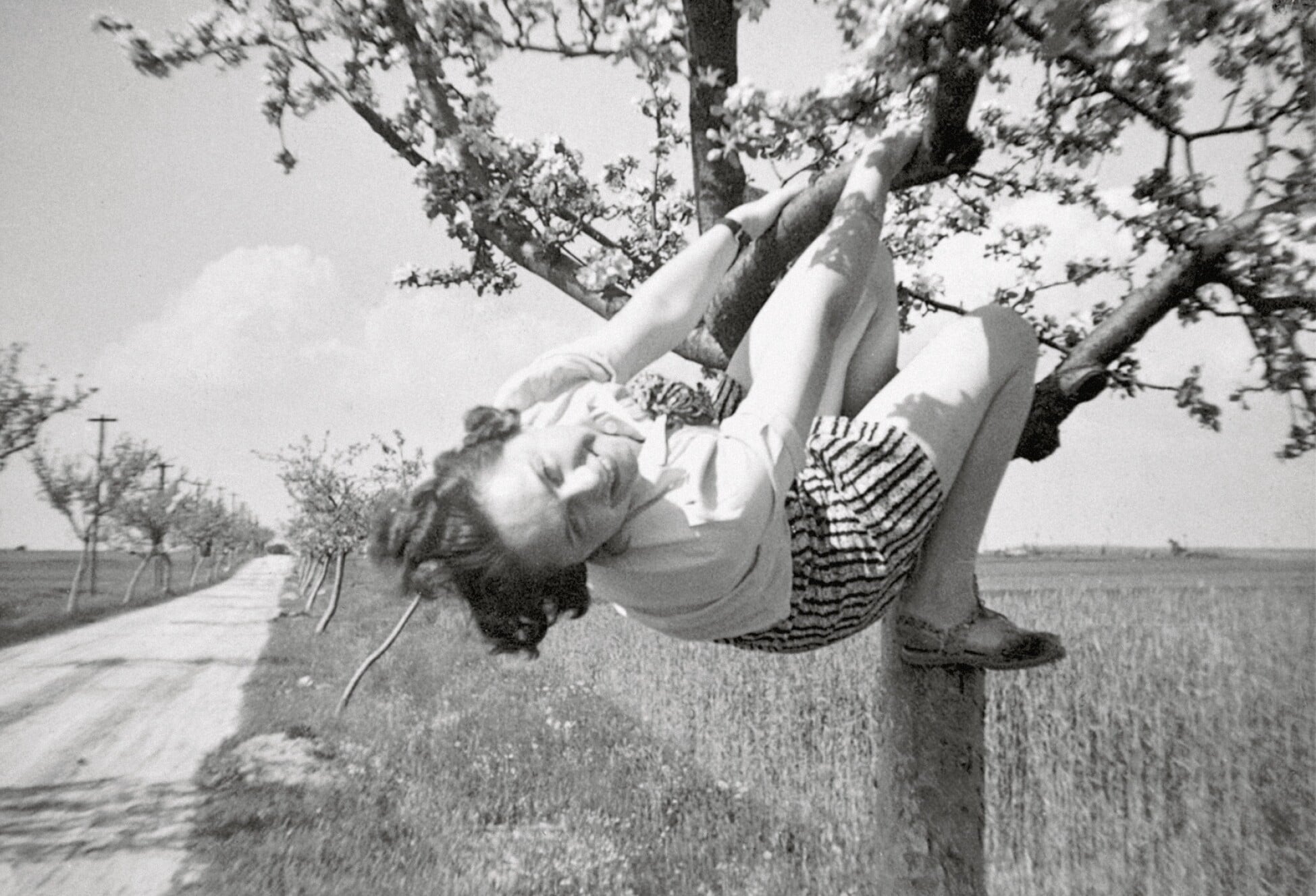 A smiling woman in a light shirt and striped shorts hangs playfully from the branch of a tree beside a rural dirt road, with fields and rows of trees stretching into the distance. The photo is black and white.