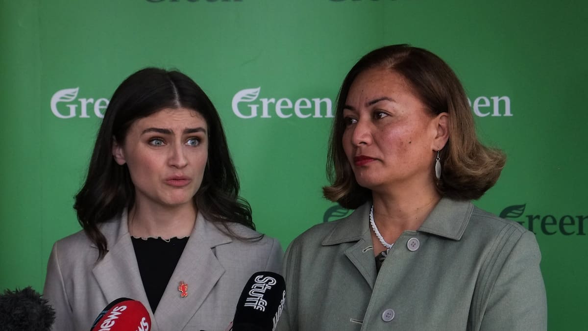 Election 2026: Greens’ new tax plan, how Chlöe Swarbrick wants to tackle ‘cost of greed crisis’