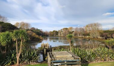 Blessing held at South Auckland park after body recovered from pond
