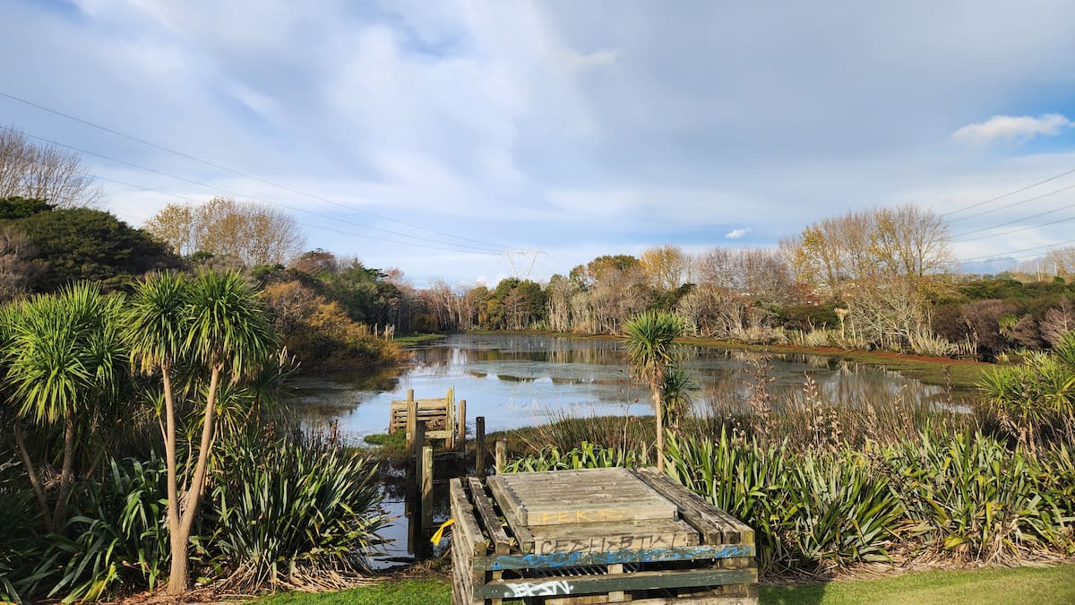 Blessing held at South Auckland park after body recovered from pond