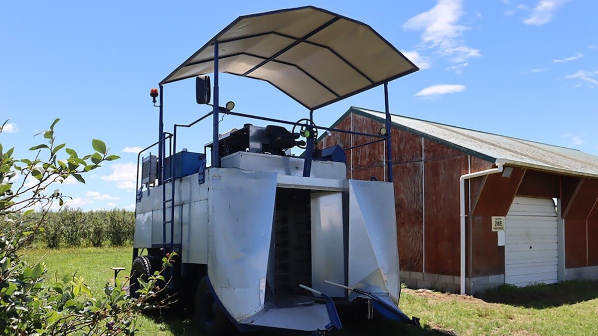Fieldays 2026: AI harvester tech could cut waste and boost blueberry yields