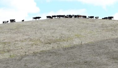 Winter off to a dry start as El Nino weather pattern returns to New Zealand skies