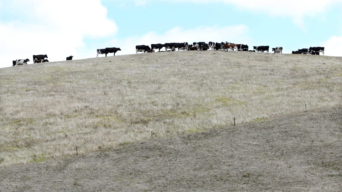 Winter off to a dry start as El Nino weather pattern returns to New Zealand skies