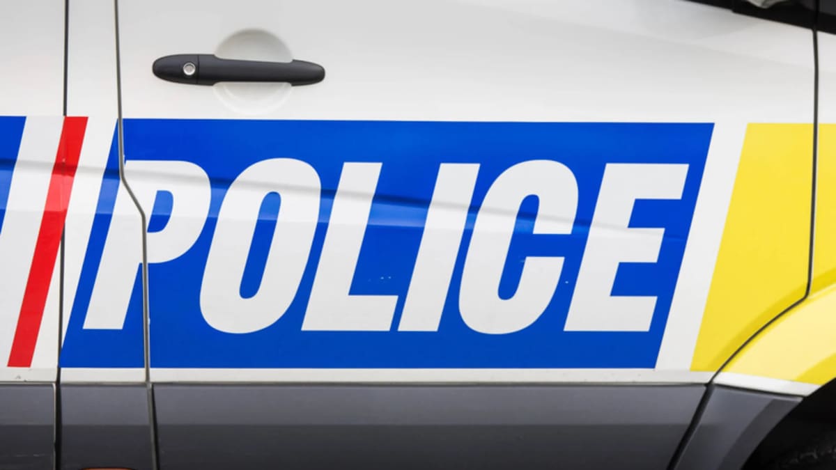 Police investigating after man asked Hutt Valley child to get into his van