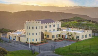 Suspected drug overdose at Wellington’s Woofington’s castle