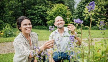 The Irish herbalists finding new purpose in ancient remedies – The Irish Times