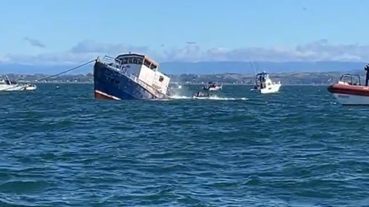 Watch: Twofold Bay trawler scuttled off the Napier coast