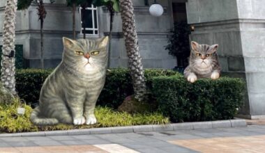 Spot installations of local artist Yip Yew Chong's iconic grumpy cat at this hotel exhibition, Lifestyle News
