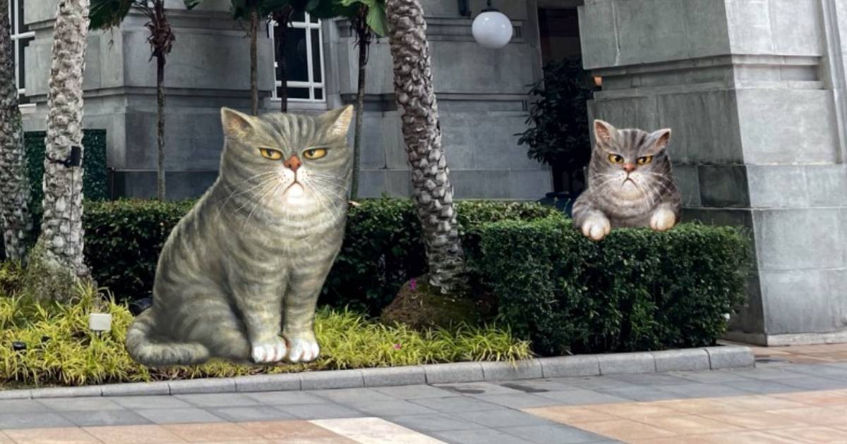 Spot installations of local artist Yip Yew Chong's iconic grumpy cat at this hotel exhibition, Lifestyle News