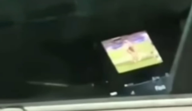 Police officer fined after watching State of Origin while driving