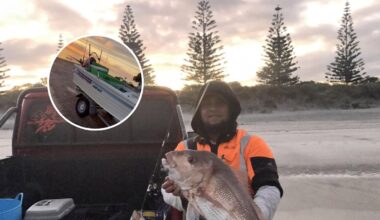 Whangārei fisherman George Esela fined $2600 and loses boat after illegal catch