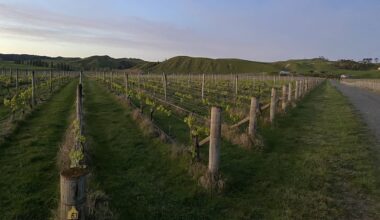 Te Awanga Estate Vineyard and restaurant bought after liquidation
