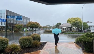 MetService issues orange rain alert for Bay of Plenty west of Kawerau