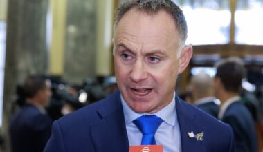 Race relations gives people the ick, but stripping unelected members of voting rights was obvious - Heather du Plessis-Allan