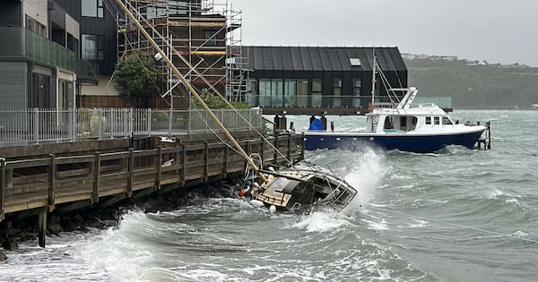 Flights cancelled in Wellington, Taranaki driver injured by fallen tree