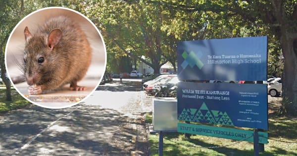 Christchurch school closed after rodents chew fibre cable