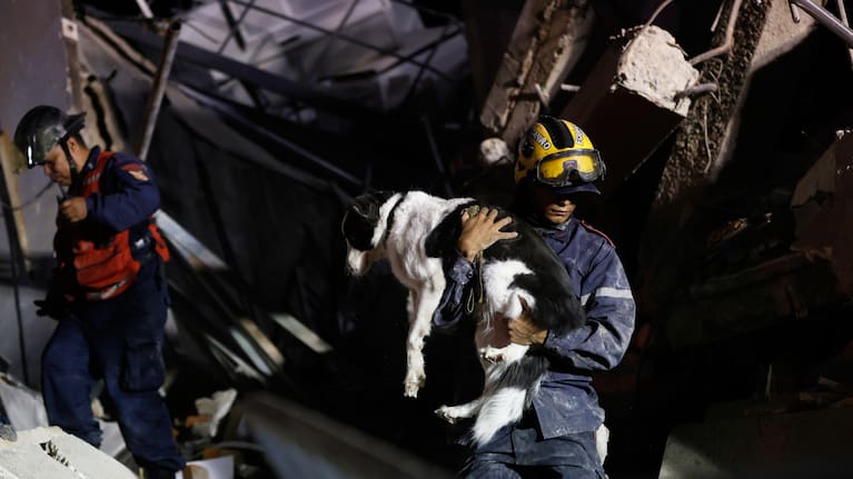A firefighter rescues a dog from a building that collapsed after an earthquake in Caracas, Venezuela, Wednesday, June 24, 2026.