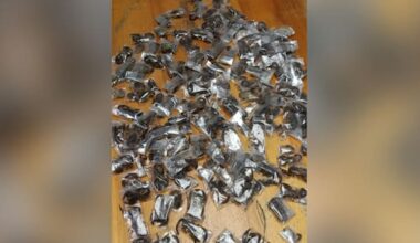 Man's luggage in South Africa held 150 live venomous scorpions