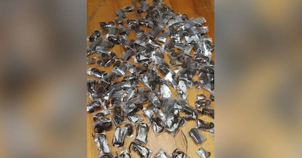 Man's luggage in South Africa held 150 live venomous scorpions