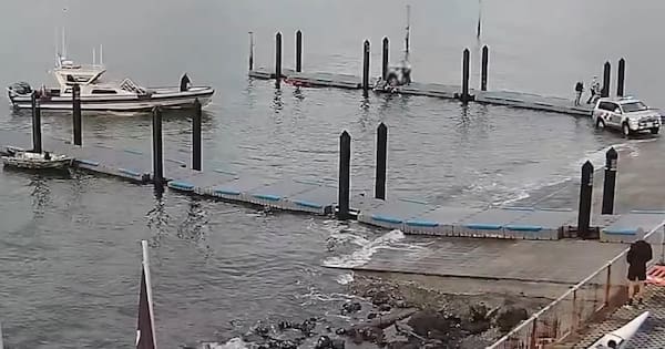 Man rescued from submerged car by axe-wielding officer