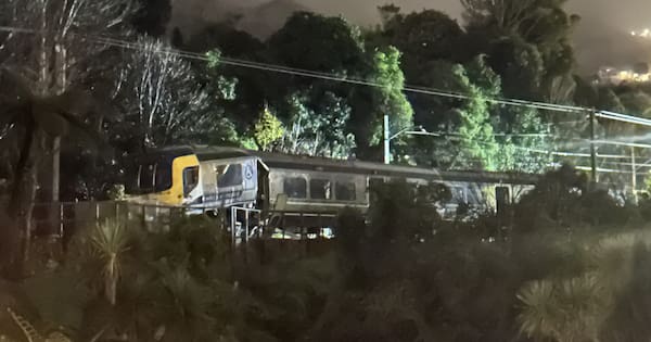 'Shook the house': Eight injured in Wellington train derailment