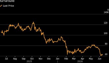 Bitcoin Bottom Hunters Are Eyeing Up AI Frenzy, SpaceX IPO