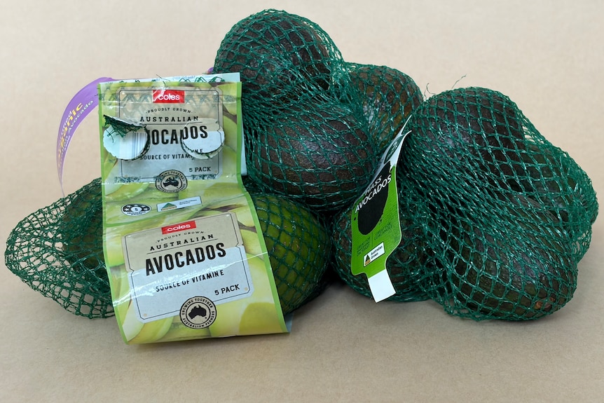 Three netting bags full of avocados from different stores.