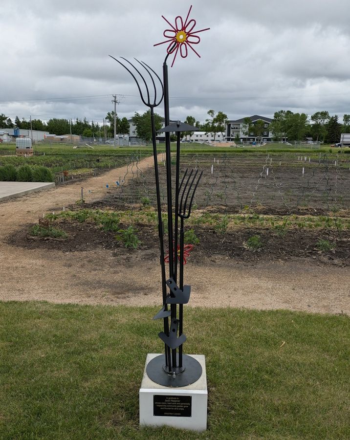 A close up of the statue that was unveiled Saturdya morning in honour of Jack Heppner's contributions to the Altona Community Garden
