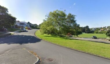 Child, 11, assaulted on street near Wellington