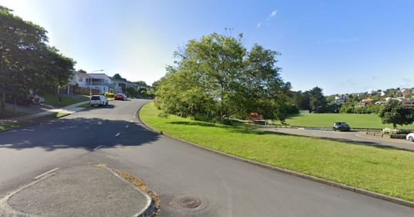 Boy, 11, hit offender with scooter after girl assaulted near Wellington