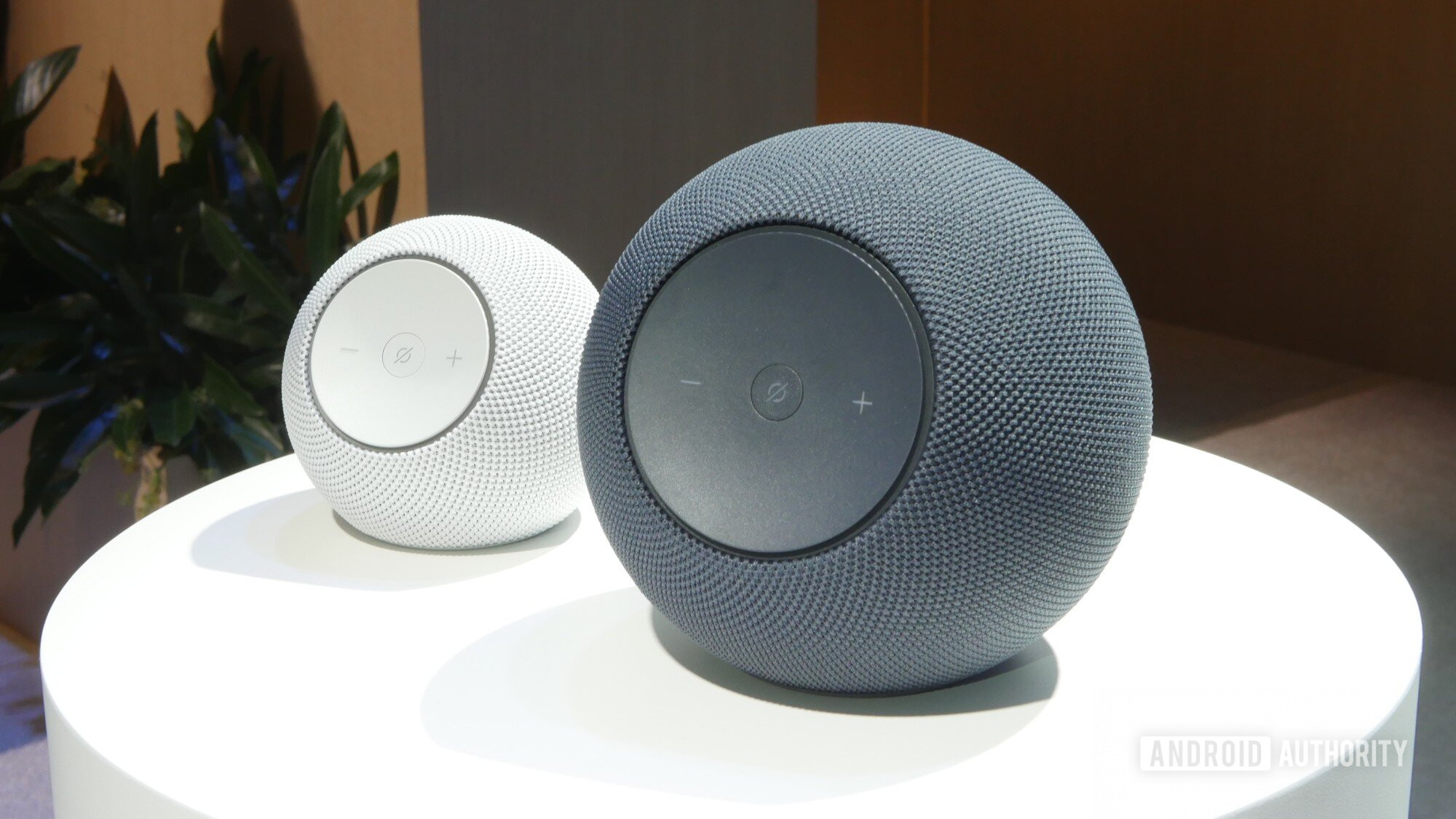 amazon echo dot both new amazon echo dot both new