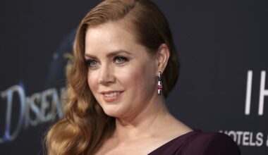 Amy Adams reveals she helped stabbing victim using TV medical training