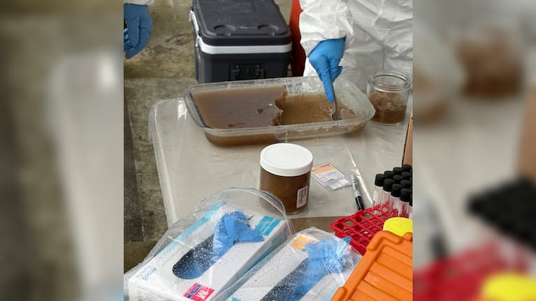 An operational meth lab was found during the police searches.
