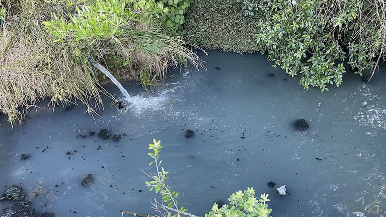 An outfall pipe into the Duke Street drain showed discolouration and floating solids immediately downstream from Waioweka Road.