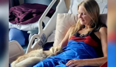 Nelson cyclist recovering after pelvis 'shattered like glass' in crash
