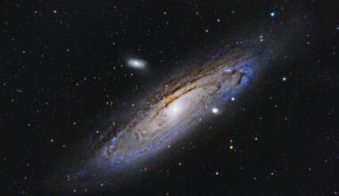 Animals in the Universe - CounterPunch.org
