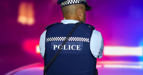 Speeding driver ran into bushes in bid to avoid arrest