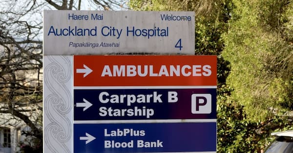 Health NZ staff face second email address change within months