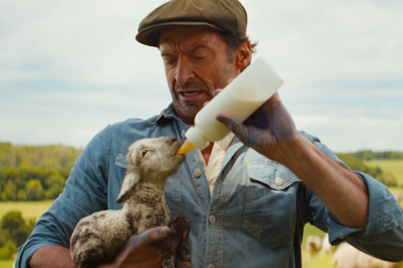 Hugh Jackman as George Hardy in The Sheep Detectives.