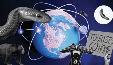 Bears Are Mauling the Japanese & More World News - AIR MAIL Diary