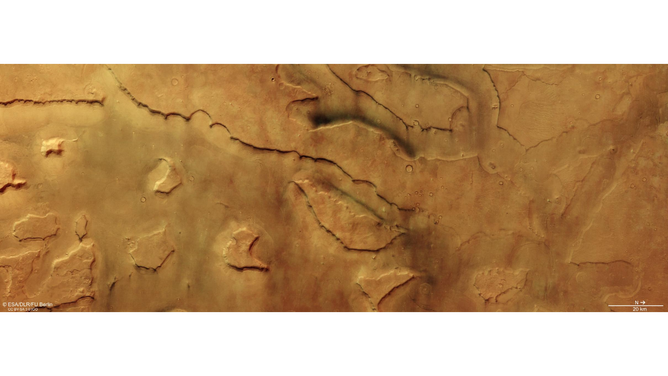 Dozens of active dust devils on Mars.