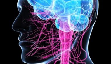 Calls for access to genetic testing to fight Motor Neurone Disease