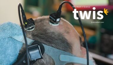 This Week in Science: A Voice-Restoring Brain Implant, Nuclear Clocks, And More! : ScienceAlert