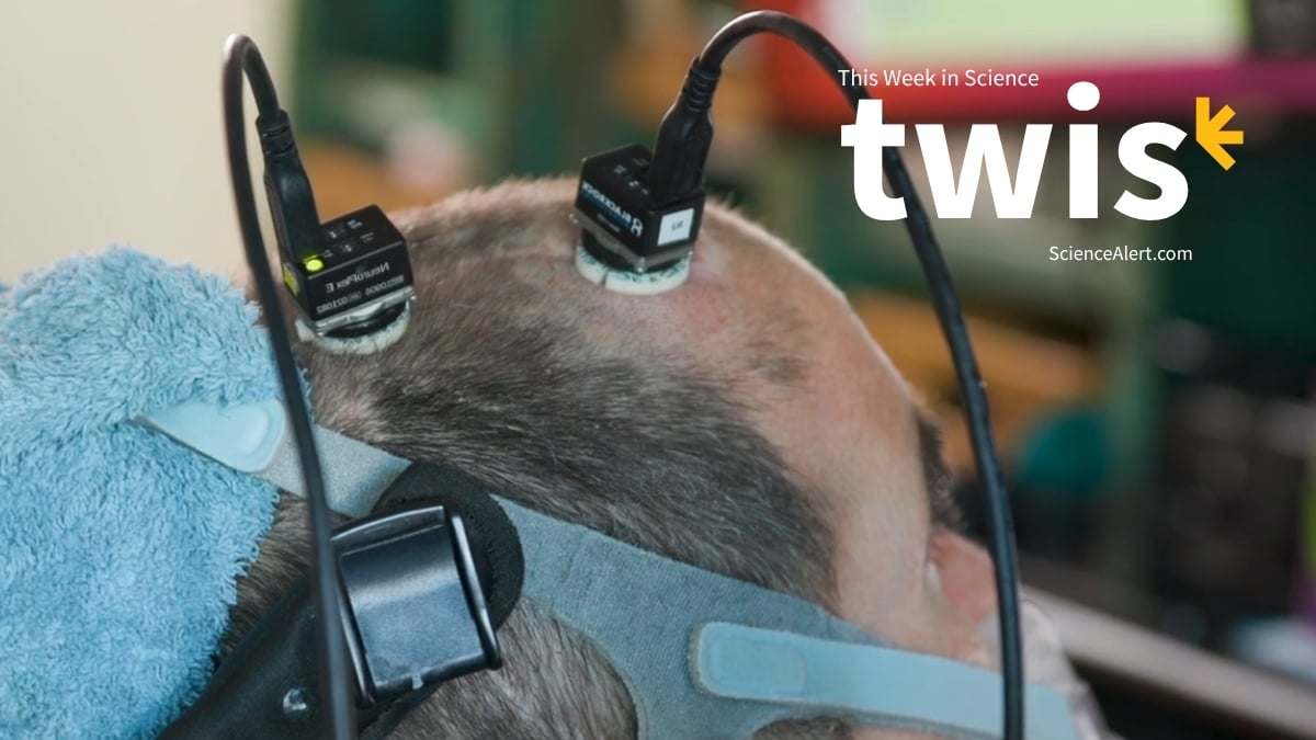 This Week in Science: A Voice-Restoring Brain Implant, Nuclear Clocks, And More! : ScienceAlert