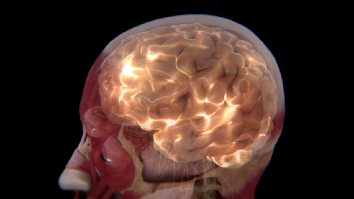 A translucent side view of a human head with the brain glowing against a black background.