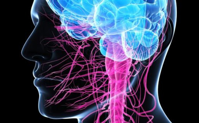 Calls for access to genetic testing to fight Motor Neurone Disease