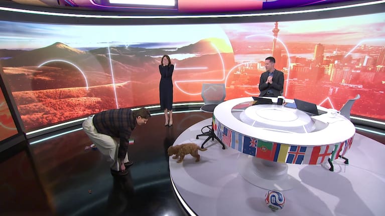 Breakfast hosts Tova O'Brien and Chris Chang react after the 12-week-old puppy pooped on the studio floor.