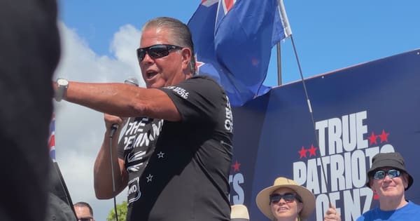 'Actions of a scared bully': Minister slams inflammatory Tamaki video